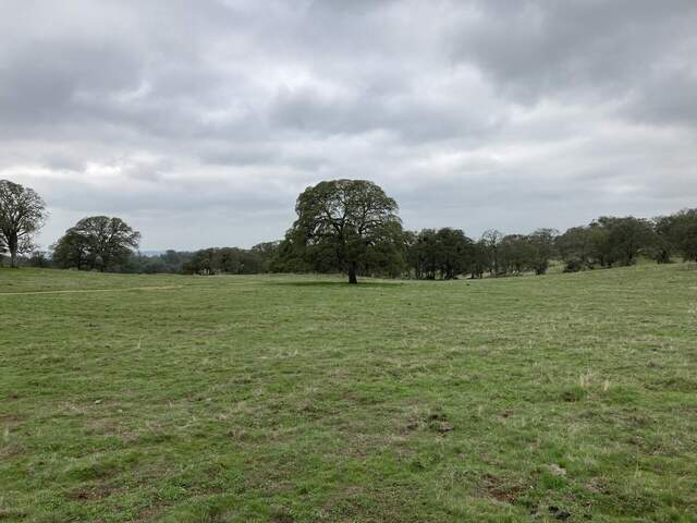 The grass is looking good and the trees still have leaves.