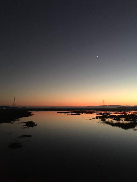 Venus reflected in the calm water at dusk