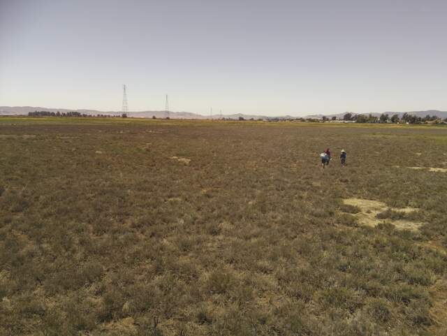 Carlos, Ari, and Daphne sampling soils