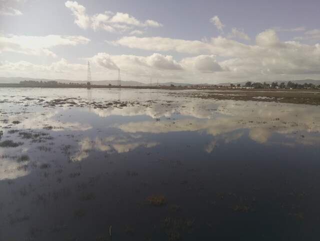 Clouds reflected in the water