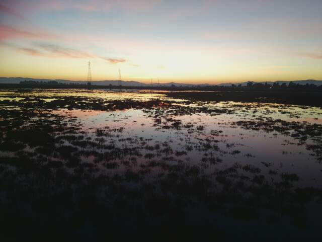 Nice sunset at low tide