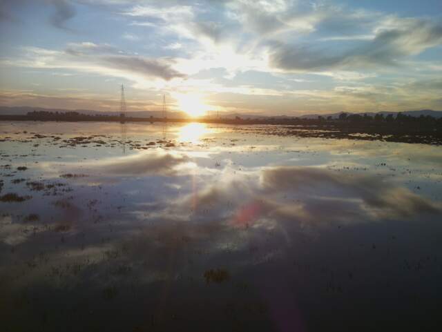 Nice sunset reflected in the water