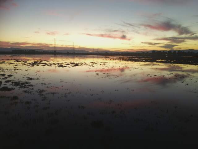 Nice sunset reflected in the water