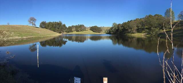 Beautiful day at Vaira pond
