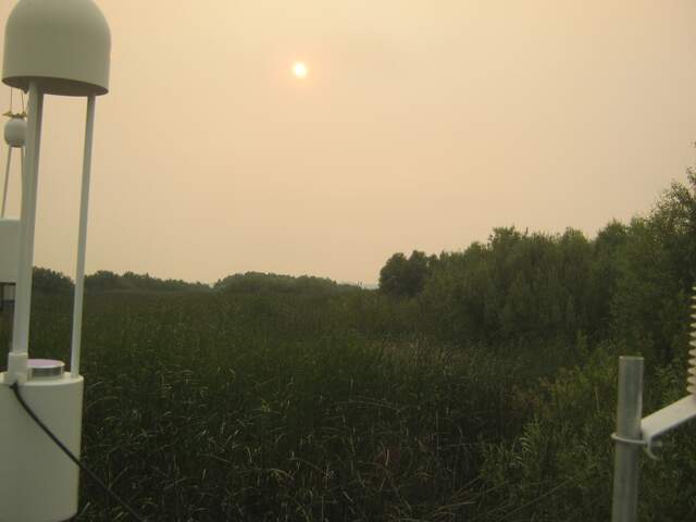 Red sun and hazy skies from wildfire smoke
