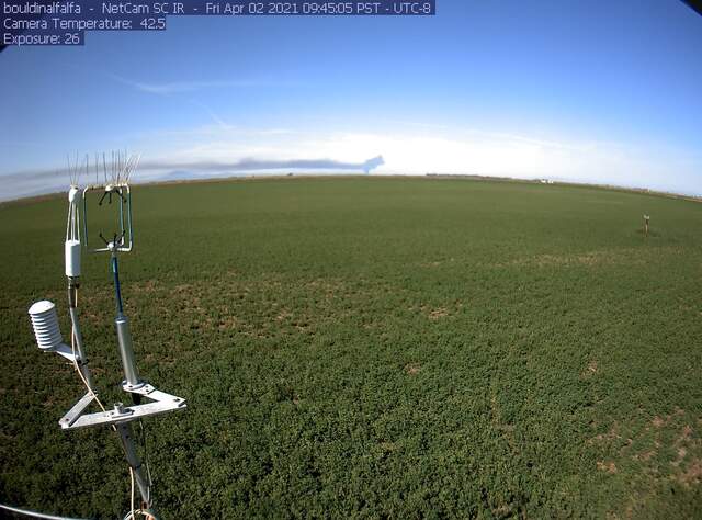 Smoke plume probably from Sherman Island duck blind fire
https://sacramento.cbslocal.com/2021/04/02/duck-blinds-fire-sherman-island-delta/