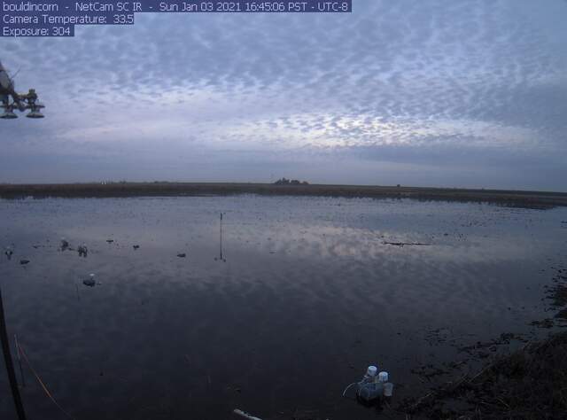 Ripple-like clouds reflected in flooded field