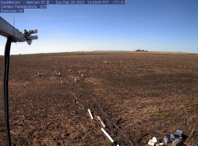 Field is drained