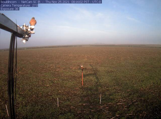 Kestrel on radiation sensors