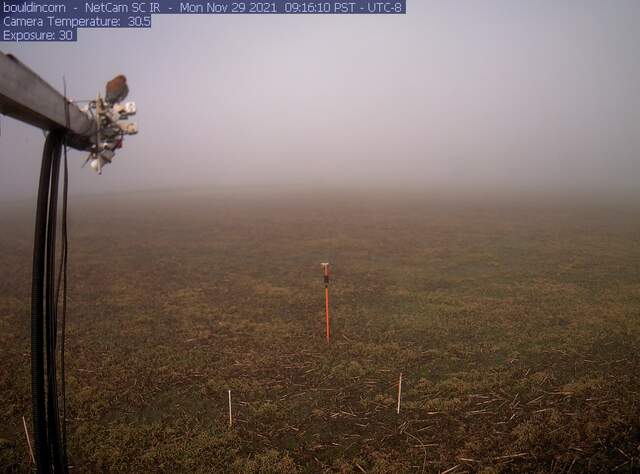 Kestrel on radiation sensors