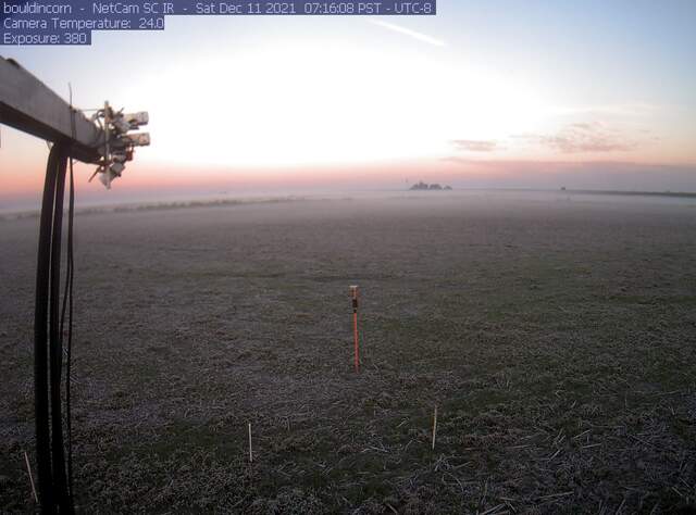 Frost and fog at sunrise