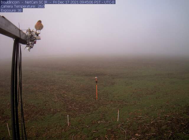 Kestrel on radiation sensors