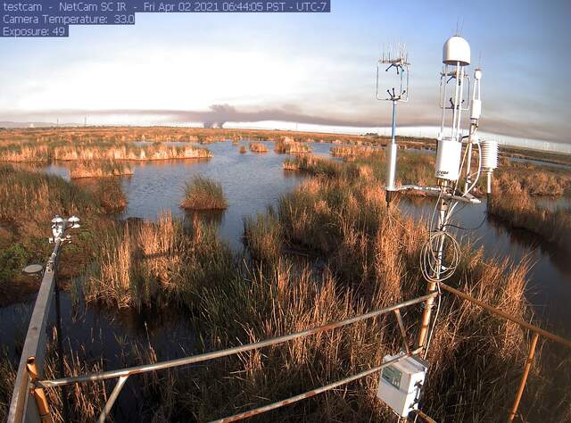 Smoke plume from Sherman Island duck blind fire
https://sacramento.cbslocal.com/2021/04/02/duck-blinds-fire-sherman-island-delta/