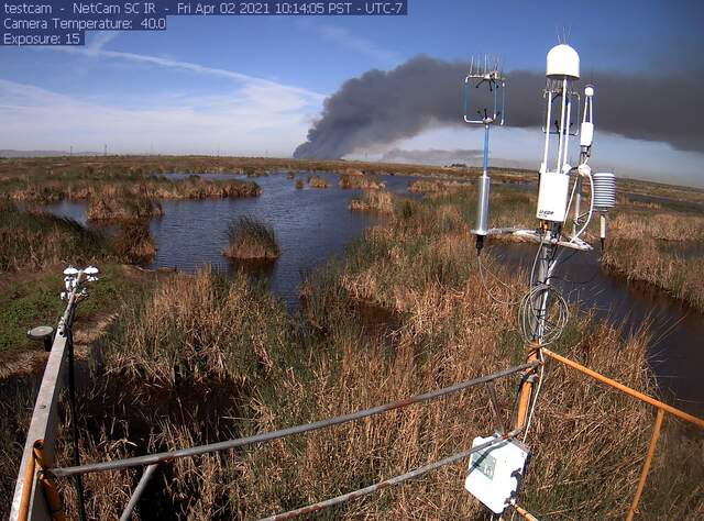 Smoke plume from Sherman Island duck blink fire
https://sacramento.cbslocal.com/2021/04/02/duck-blinds-fire-sherman-island-delta/