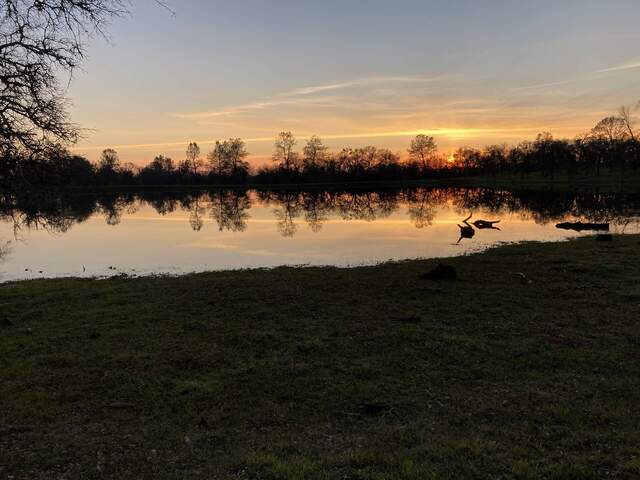 Sunset over Tonzi’s pond