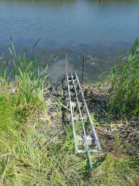 Submerged Aquatic Vegetation at the ADCP site