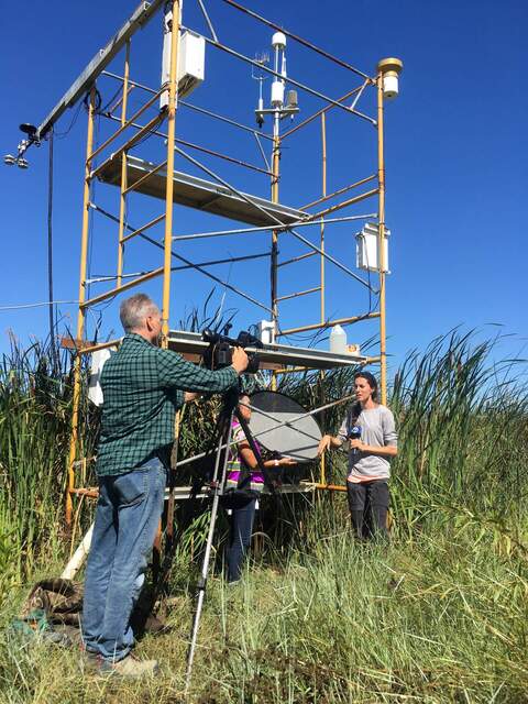 Ari getting interviewed by ABC7 about wetland restoration and carbon sequestration. She is still the microphone stand, too.