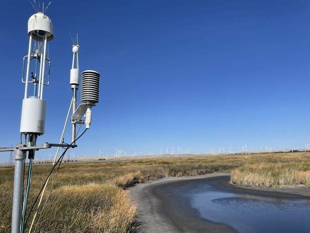 Flux sensors against backdrop of very low water level