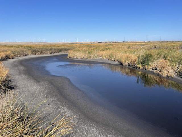 Super low water level--no longer one continuous body of water