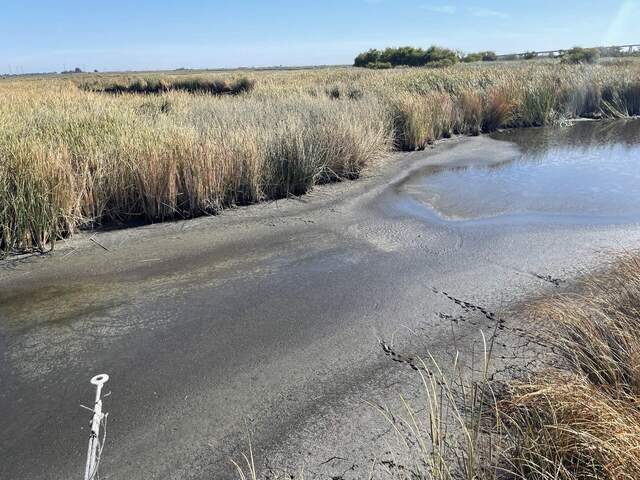 Super low water level--no longer one continuous body of water. "Water" radiometers are now looking at mud.