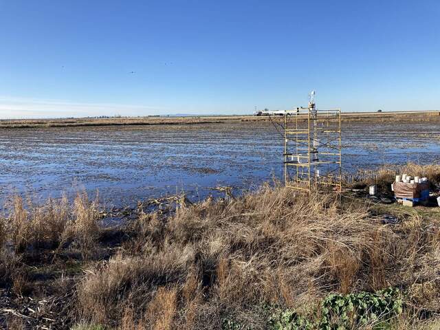 The field has been flooded