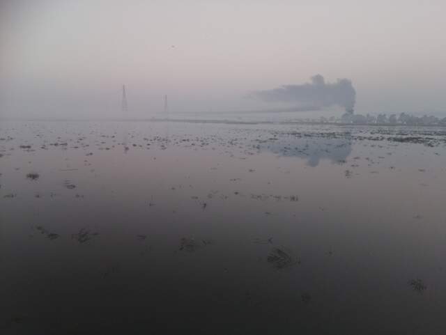 Dawn, fog and plume