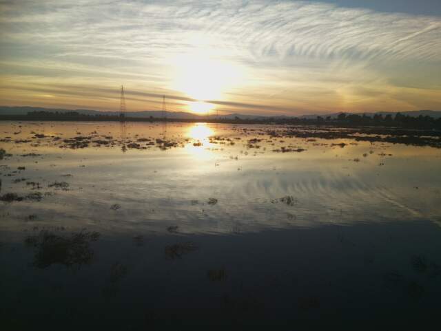 Sunset reflected in the water