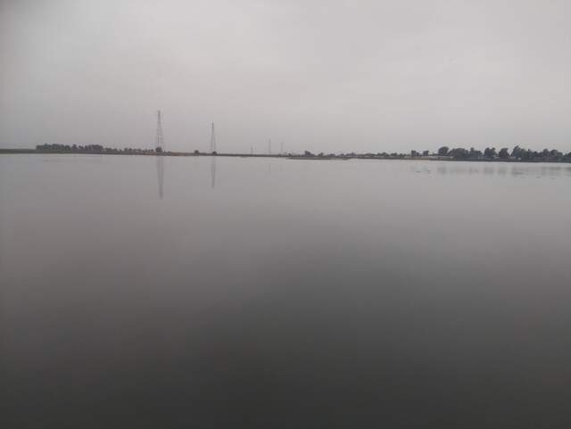 High tide, still water, gray skies