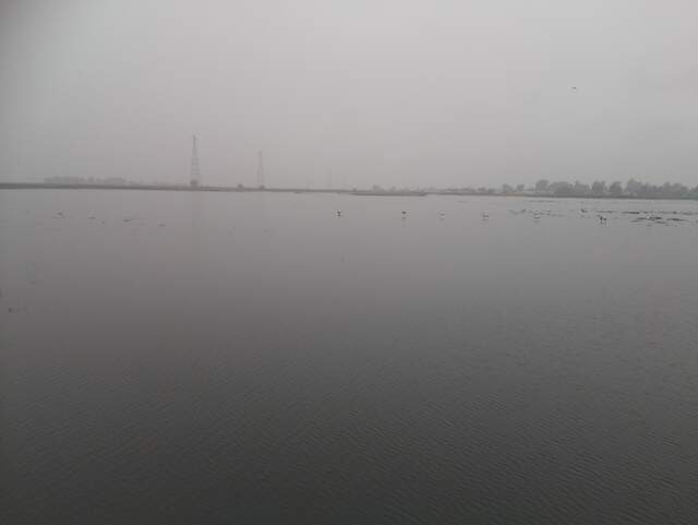 High tide, still water, fog