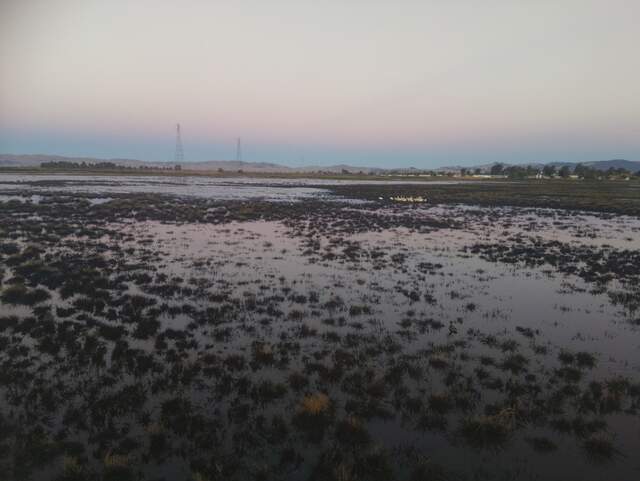 Nice colors reflected on the water during sunrise