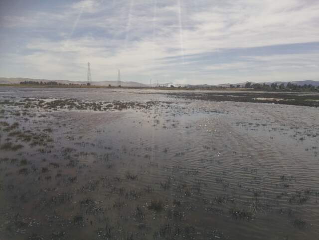 Ripples on the water