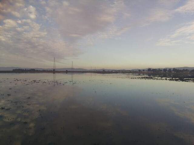 Reflected clouds