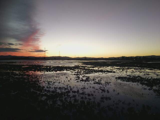 Beautiful sunset at low tide