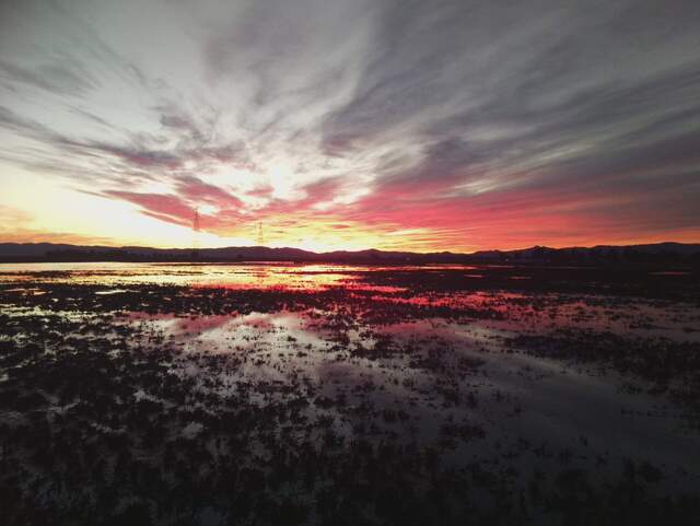 Gorgeous sunset at low tide