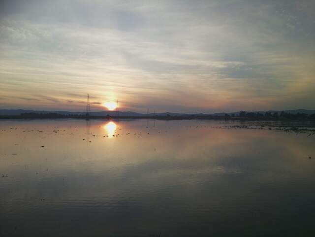 Nice sunset with birds on water