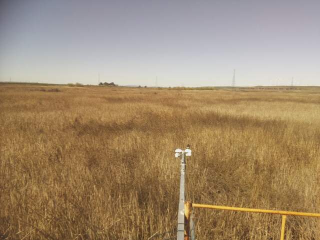 Bird on radiometer