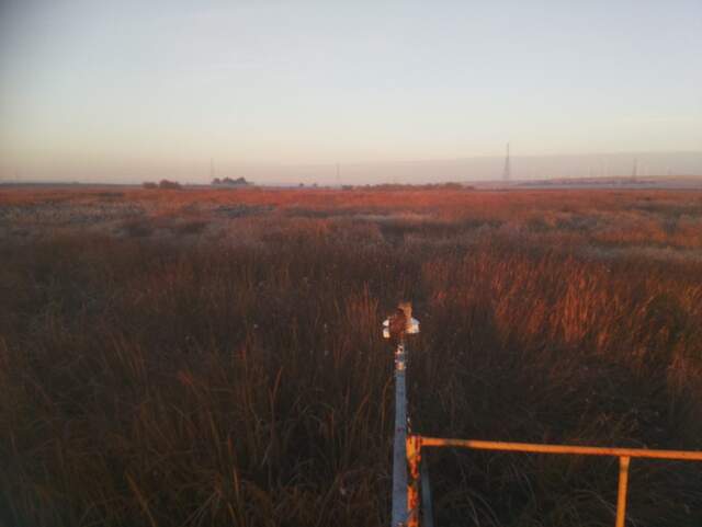 Hawk on radiometer boom