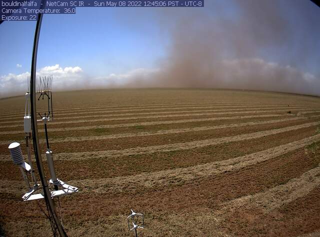 Clouds of dust upwind