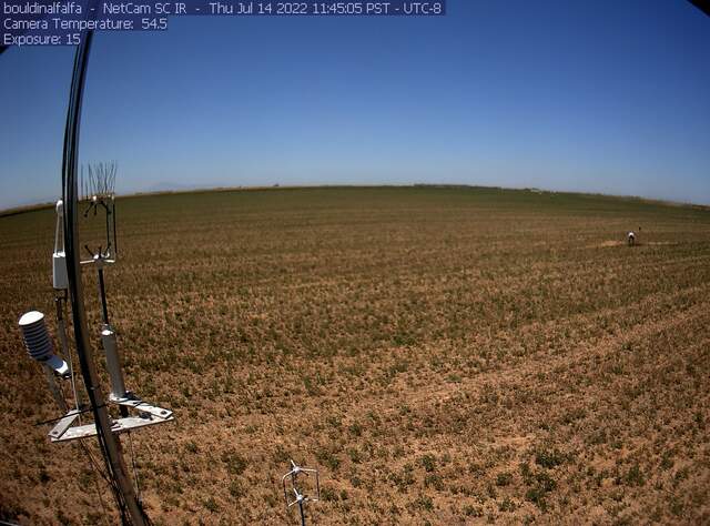 Carlos trimming alfalfa under the Planet Lab Arable