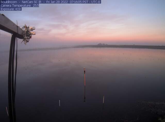 Dawn reflected in flooded field