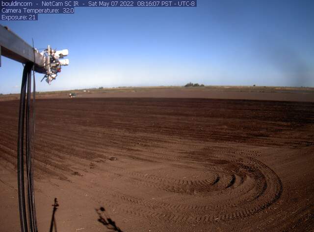 Tractor planting the field