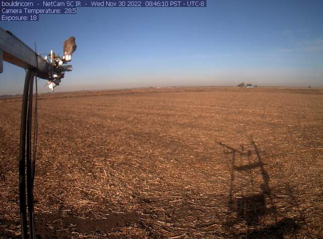 Kestrel? on radiometers