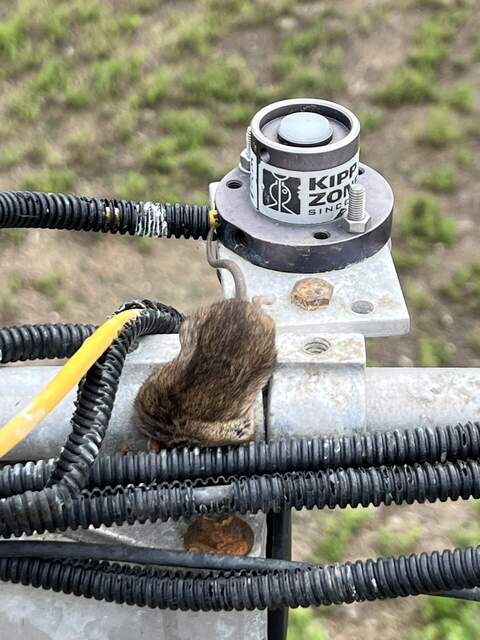 Headless mouse on the radiometer boom