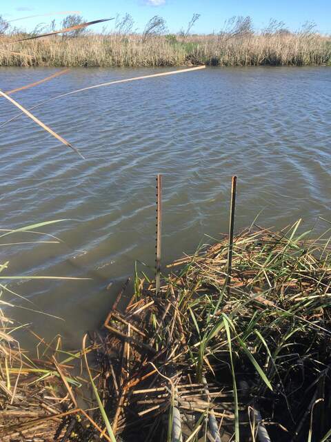 Turbid water in the channel, probably from all of the storms. Makes it hard to see if there