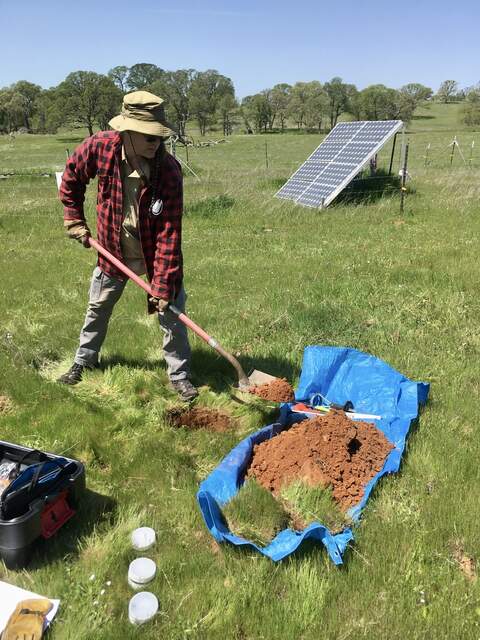 Joe excavating soil pit 2 from AMP soil cores