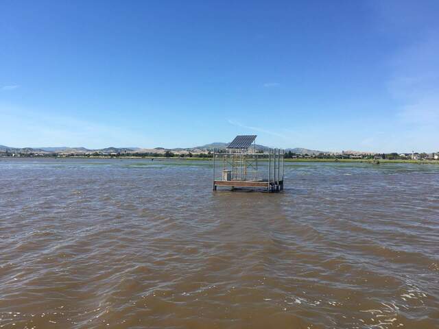 Green algae mat visible north of the solar tower during high tide