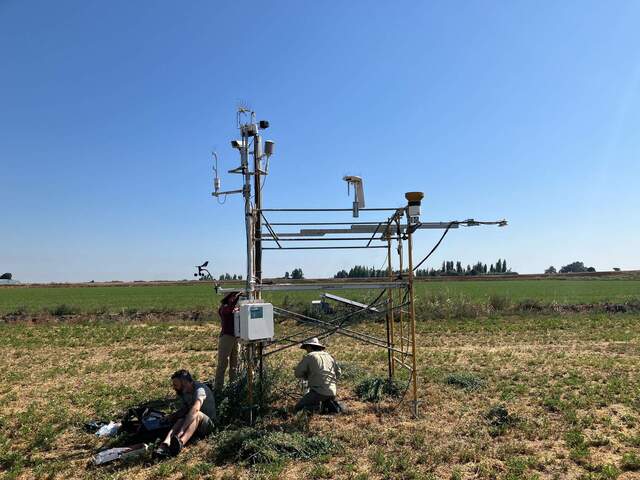 Brian from Nikira setting up their prototype fast water vapor and temperature sensor to compare against our Licor measurements. Daphne and Joe servicing the tower.