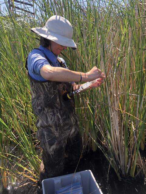 Kyle injecting methane gas samples into a sample bottle