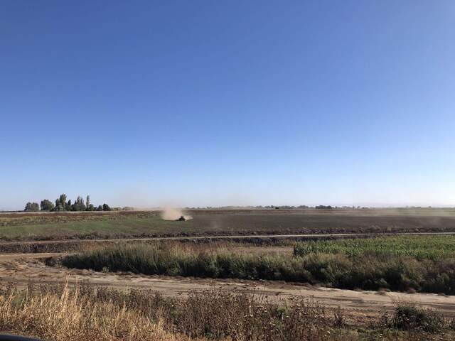 Alfalfa field closest to the levee is getting disced. The farmers plan to plant wheat.