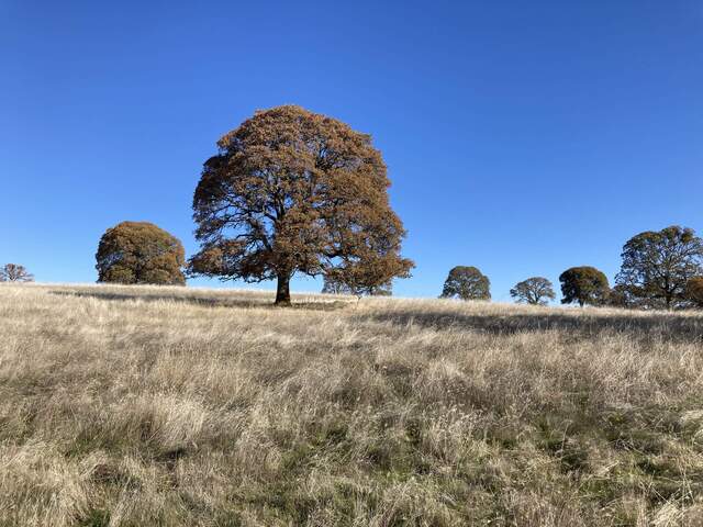 The trees have more fall colors than I remember this year